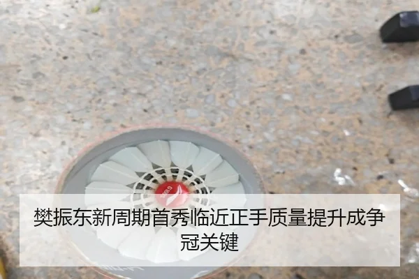 樊振东新周期首秀临近正手质量提升成争冠关键